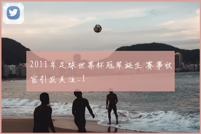 2011年足球世界杯冠军诞生 赛事收官引发关注_1