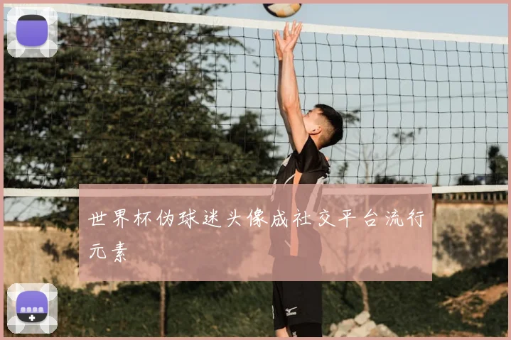 世界杯伪球迷头像成社交平台流行元素
