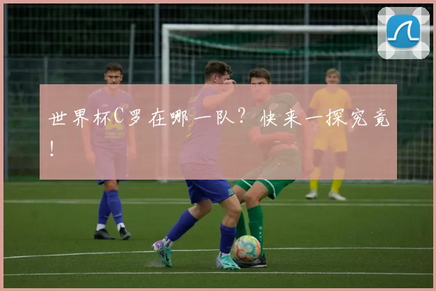 世界杯C罗在哪一队?快来一探究竟!