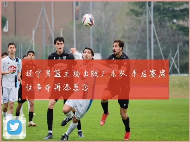 辽宁男篮主场击败广东队 季后赛席位争夺再添悬念