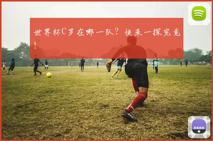 世界杯C罗在哪一队?快来一探究竟!