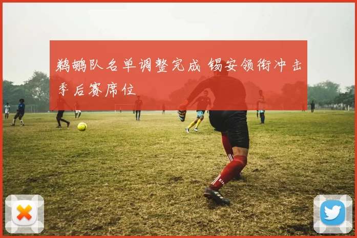 鹈鹕队名单调整完成 锡安领衔冲击季后赛席位